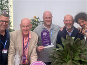 Red hosta forecast to sell one million plants after Chelsea triumph
